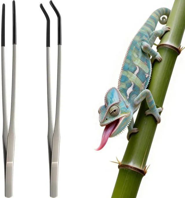 Main image of 2 Pcs Extra Long Stainless Steel Reptile Feeding Tongs 10.6 IN with Soft Rubber Tip Straight & Curved Tweezers for Bearded Dragon, Tank Accessories, Lizards, Terrarium, Aquarium, Leopard Gecko