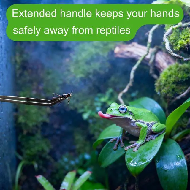 Alt view image 6 of 6 - 2 Pcs Extra Long Stainless Steel Reptile Feeding Tongs 10.6 IN with Soft Rubber Tip Straight & Curved Tweezers for Bearded Dragon, Tank Accessories, Lizards, Terrarium, Aquarium, Leopard Gecko