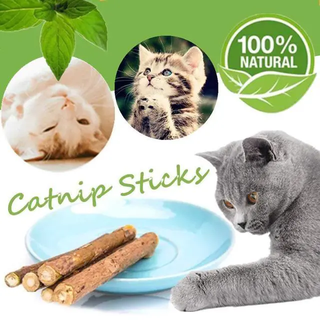 Alt view image 2 of 4 - 10 PCS Catnip Sticks Organic Cat Chew Toys Natural Plant Matatabi Silvervine Chew Sticks Teeth Cleaning Chew Toy Kitten Kitty