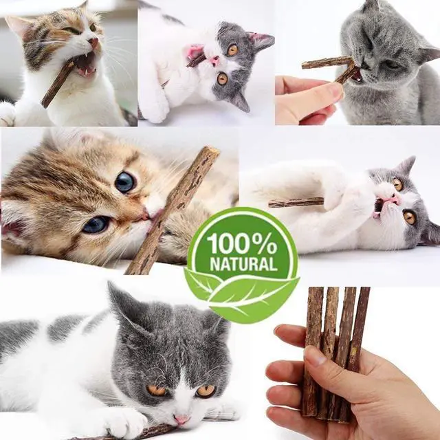 Alt view image 3 of 4 - 10 PCS Catnip Sticks Organic Cat Chew Toys Natural Plant Matatabi Silvervine Chew Sticks Teeth Cleaning Chew Toy Kitten Kitty