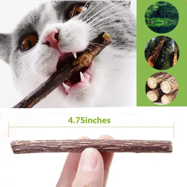 Alt view image 4 of 4 - 10 PCS Catnip Sticks Organic Cat Chew Toys Natural Plant Matatabi Silvervine Chew Sticks Teeth Cleaning Chew Toy Kitten Kitty
