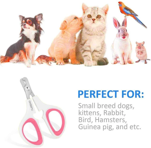 Alt view image 3 of 5 - Pet Nail Clippers for Cats and Kittens, Safe Sharp Trimmer
