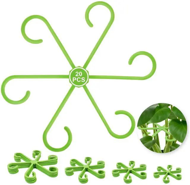 Main image of 20PCS Plant Stem Supports for Monstera, 4 Sizes for Indoor Plants