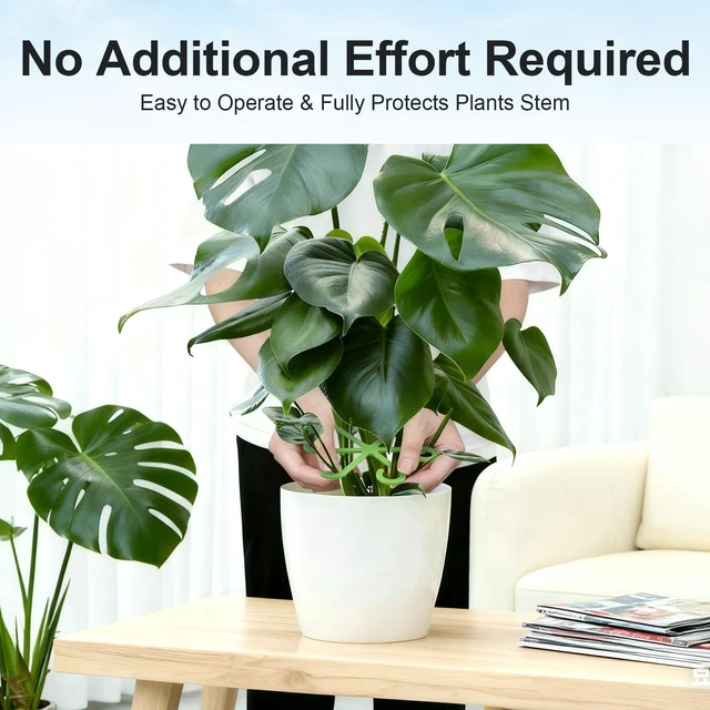 Alt view image 4 of 6 - 20PCS Plant Stem Supports for Monstera, 4 Sizes for Indoor Plants