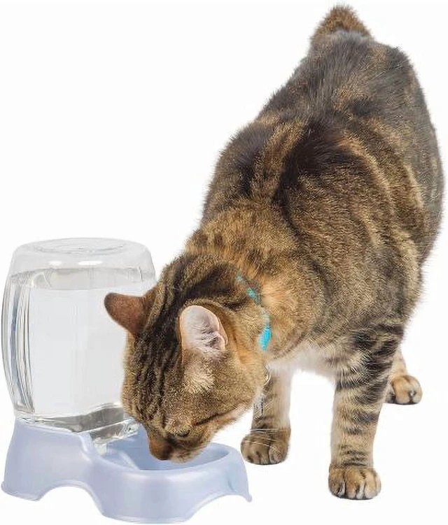 Alt view image 6 of 6 - Petmate Pet Cafe Waterer Automatic Gravity Pet Bowl Station for Dogs & Cats, Pearl Silver, XS, 0.25Gal
