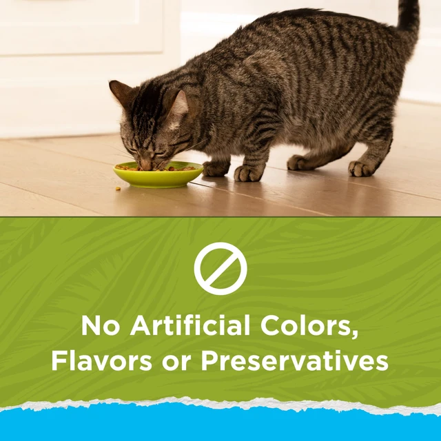 Alt view image 5 of 5 - Purina Cat Chow Naturals Indoor Dry Cat Food, Chicken & Turkey, 3.15lb Bag