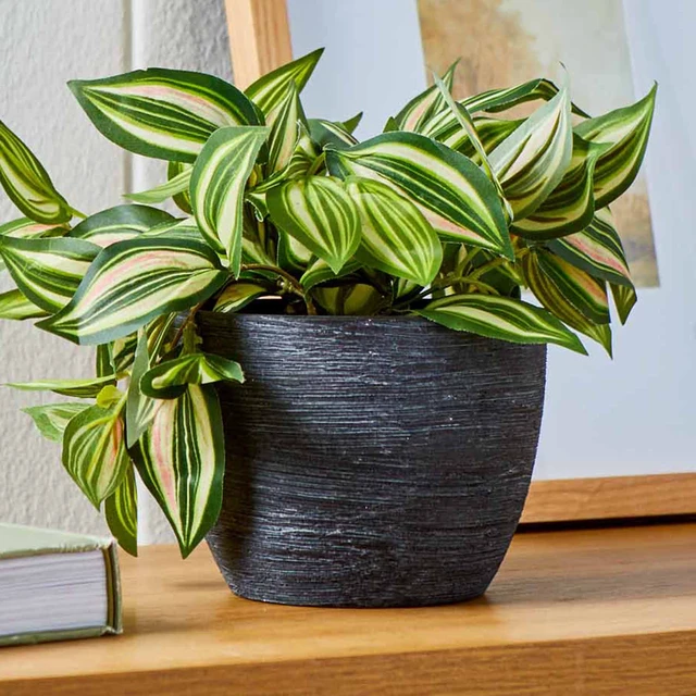 Alt view image 6 of 6 - Better Homes & Gardens 4.5in Textured Matte Ceramic Plant Pot Black 1 Piece