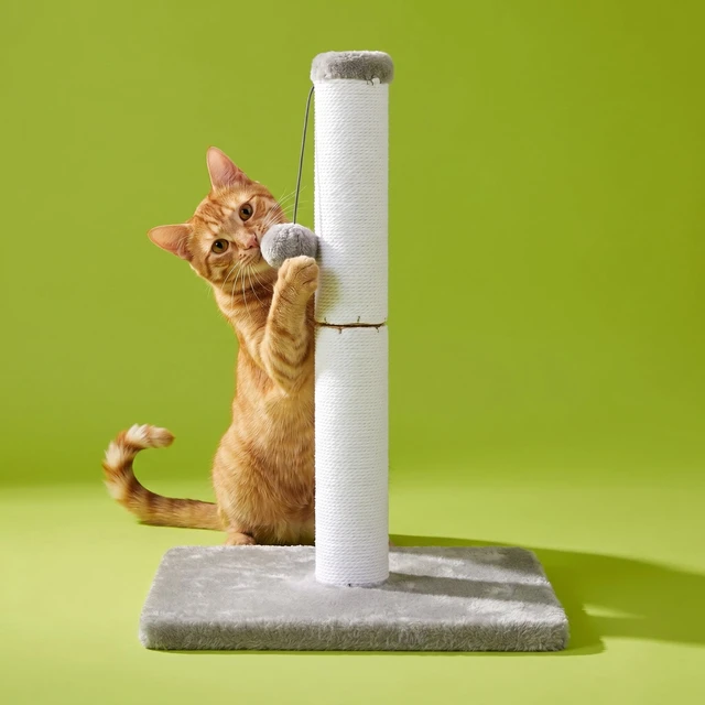 Alt view image 2 of 5 - Vibrant Life Cat Scratching Post with Cotton Rope and Dangling Ball, White and Gray