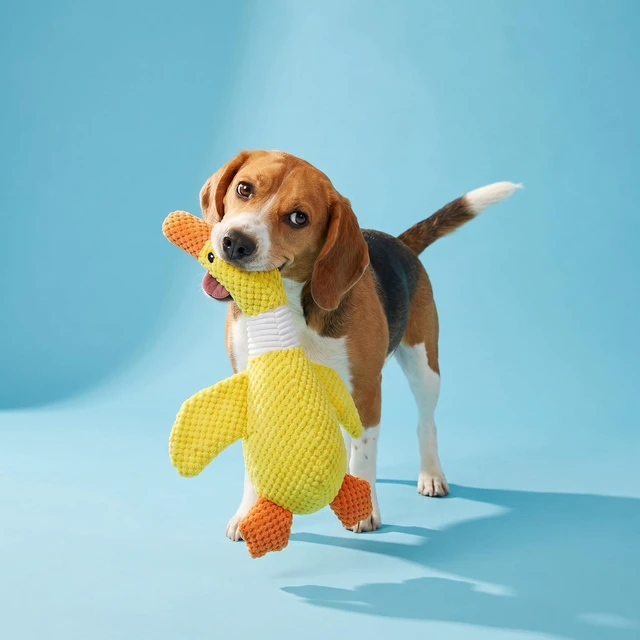 Alt view image 3 of 6 - Vibrant Life Yellow Duck Plush Dog Toy with Squeaker, Chew Level 4