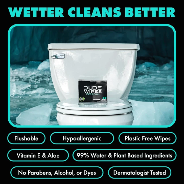 Alt view image 6 of 6 - DUDE Wipes On-The-Go Mint Chill Adult Flushable Travel Wipes, 30 Count