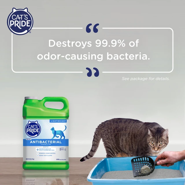 Alt view image 5 of 6 - Cat's Pride Antibacterial Litter Odor-Eliminating Scented 12lb