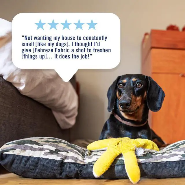 Alt view image 2 of 6 - Febreze Pet Odor Fighter Fabric Spray, Fresh Scent, OdorFighting Refresher for HardtoWash Household Textiles