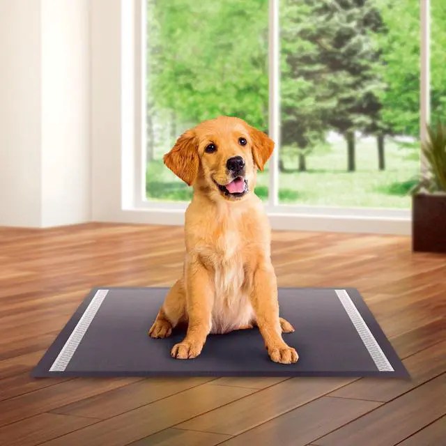 Alt view image 6 of 6 - Vibrant Life Charcoal Large Training Pads, Odor Control, Super Absorbent, Leak Proof, & Fast Dry Dog and Puppy Pee Pads, 22 in x 22 in, 50 Count