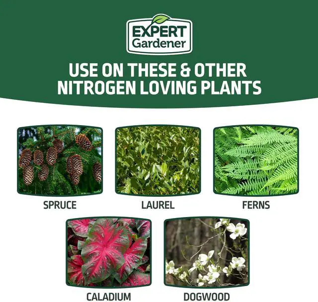 Alt view image 6 of 7 - Expert Gardener Evergreen Tree and Shrub Plant Food, 16-4-8 Fertilizer, 4 lb.