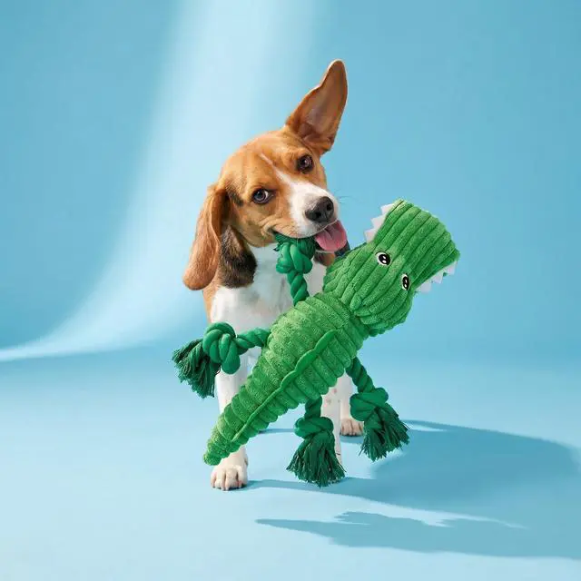 Alt view image 6 of 6 - Vibrant Life Green Alligator Plush Dog Toy with Squeaker, Chew Level 3
