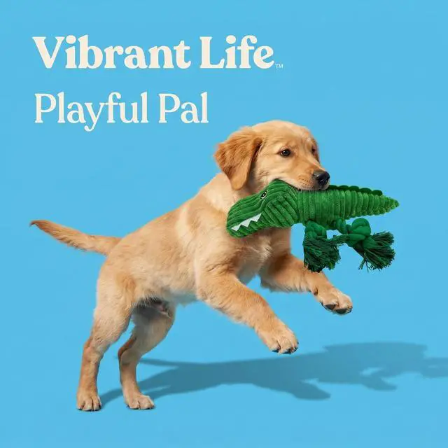 Alt view image 3 of 6 - Vibrant Life Green Alligator Plush Dog Toy with Squeaker, Chew Level 3