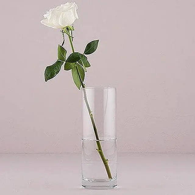 Alt view image 2 of 5 - Libbey 9.5-Inch Clear Glass Cylinder Vase for Floral Arrangements