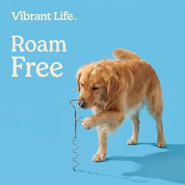 Alt view image 3 of 6 - Vibrant Life 18" Medium Spiral Steel Stake for Dogs