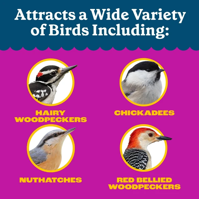 Alt view image 2 of 6 - Pennington Feeding Frenzy Woodpecker Nut & Fruit Double Nut Blend Wild Bird Food, 2.5Pounds