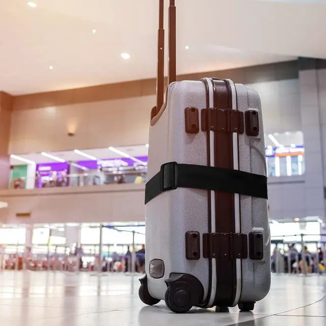 Alt view image 7 of 7 - uxcell Luggage Straps Suitcase Belts 2x78 2Mx5cm Sky Blue 2Pcs | Adjustable PP Travel Bag Packing Accessories with Buckle Label