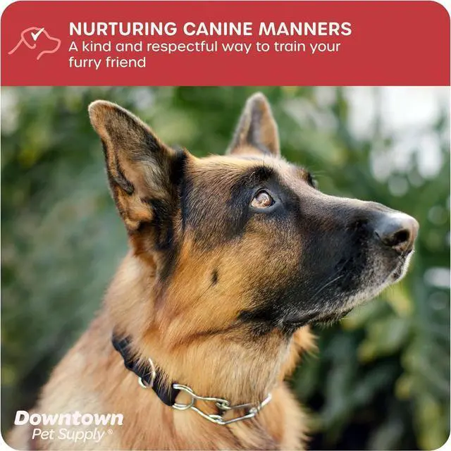 Alt view image 4 of 7 - Downtown Pet Supply Chrome Plated/Nylon Prong Collar for Dogs, Small - Adjustable, No-Choke and No Pull Dog Collar with Removable Links - Pinch Collar for Dogs Under 20 lbs and 14" Neck Width