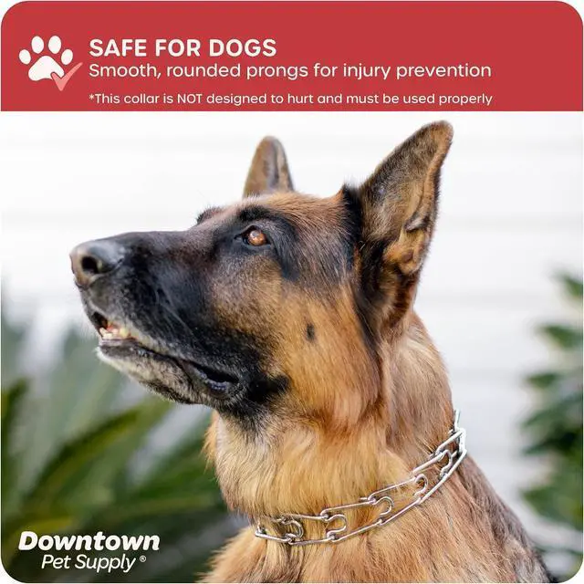 Alt view image 6 of 7 - Downtown Pet Supply Chrome Plated/Nylon Prong Collar for Dogs, Small - Adjustable, No-Choke and No Pull Dog Collar with Removable Links - Pinch Collar for Dogs Under 20 lbs and 14" Neck Width