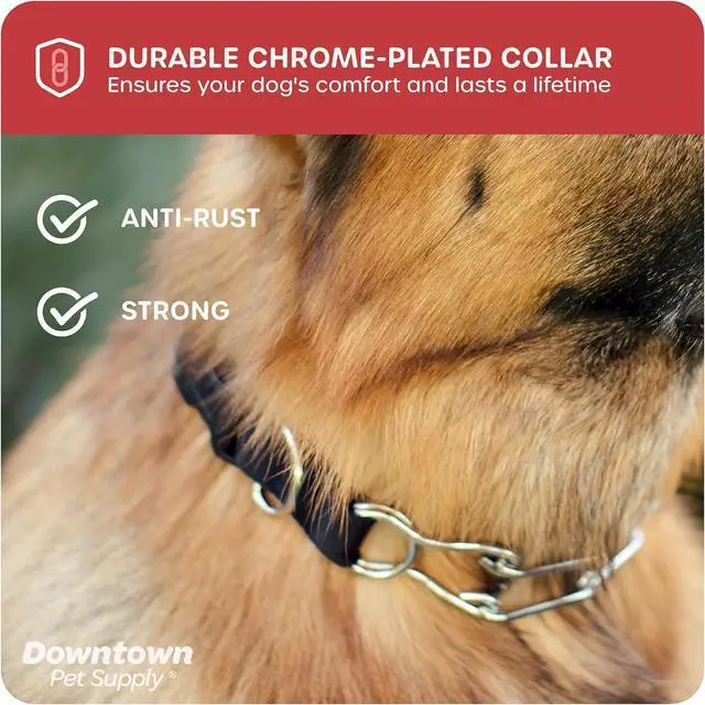 Alt view image 5 of 7 - Downtown Pet Supply Chrome Plated/Nylon Prong Collar for Dogs, Small - Adjustable, No-Choke and No Pull Dog Collar with Removable Links - Pinch Collar for Dogs Under 20 lbs and 14" Neck Width