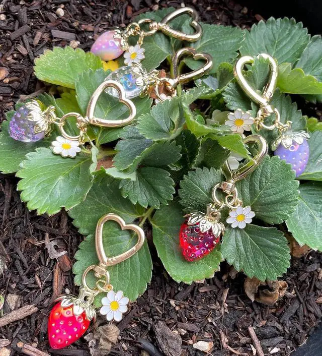 Alt view image 5 of 7 - Cute Strawberry Keychain Heart Bag Charm Purse Accessories Decor for Women | Kawaii Heart Flower Daisy Key chains Accessories Decor for Girls Purse Gift