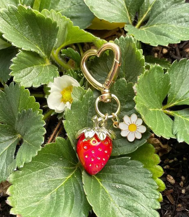 Alt view image 7 of 7 - Cute Strawberry Keychain Heart Bag Charm Purse Accessories Decor for Women | Kawaii Heart Flower Daisy Key chains Accessories Decor for Girls Purse Gift