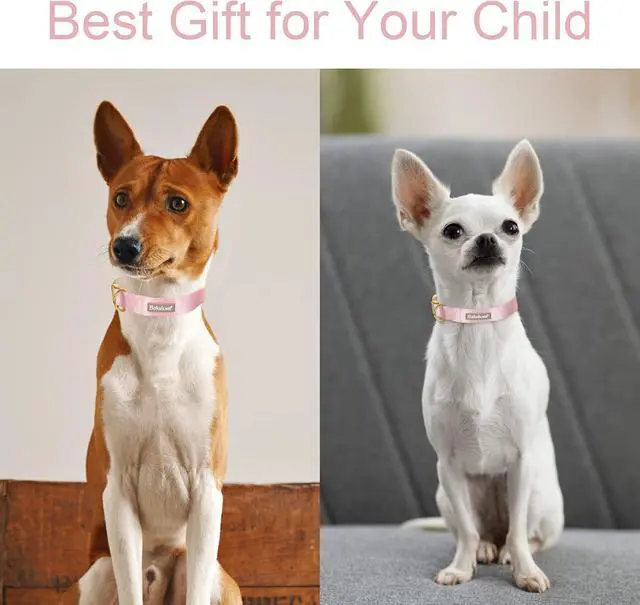 Alt view image 3 of 7 - Nylon Dog Collar - Adjustable Pink Soft Webbing Dog Collars for Small Medium Large Dogs Boy Girl Puppy Collar with Safety Metal Buckle XS