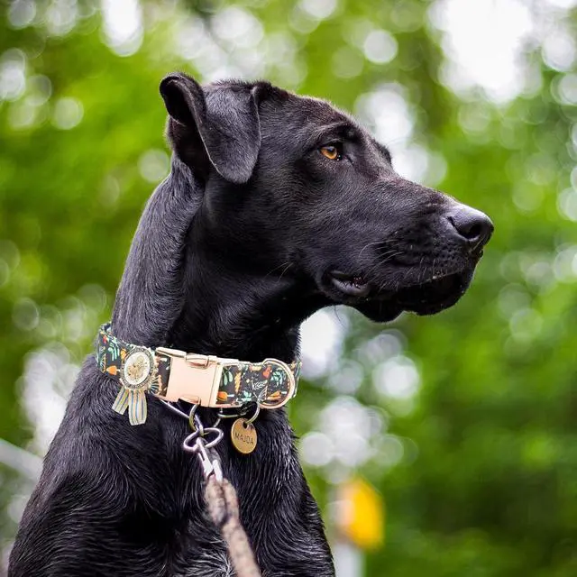 Alt view image 2 of 7 - Metal Buckle Dog Collar with Dedals, 3-Size Comfortable Adjustable Cotton Dog Collar for Small, Medium, Large Male Female Dogs (Foliage, L(15-23in))