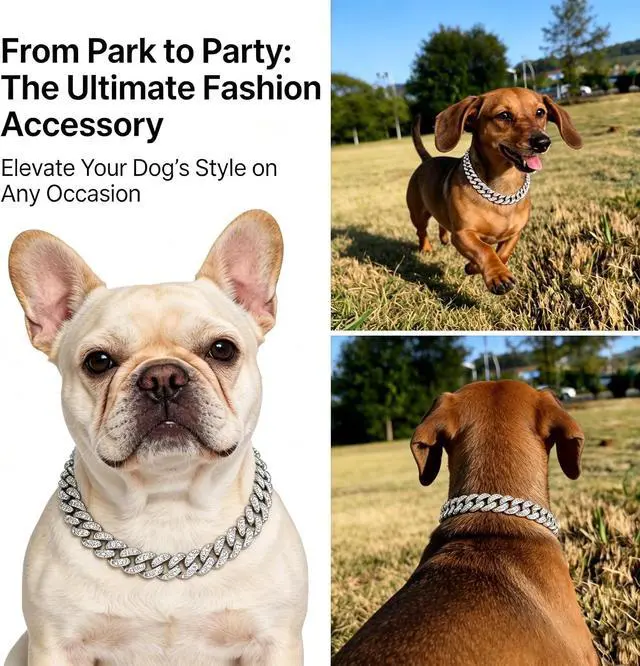 Alt view image 2 of 7 - Cuban Link Dog Collar, 13mm Wide 18K Gold Plated Miami Cuban Dog Necklace with Cubic Zirconia, Bling Pet Collar for Small Medium Large Dogs, for Walking Training and Parties (Silvery, 8, Inches)