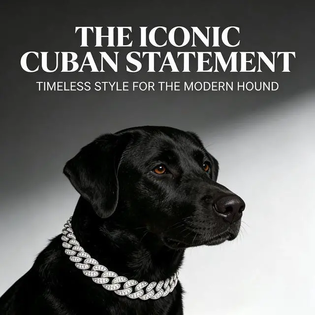 Alt view image 3 of 7 - Cuban Link Dog Collar, 13mm Wide 18K Gold Plated Miami Cuban Dog Necklace with Cubic Zirconia, Bling Pet Collar for Small Medium Large Dogs, for Walking Training and Parties (Silvery, 8, Inches)