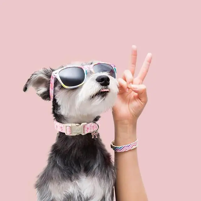 Alt view image 6 of 7 - Girl Dog Collar for Puppy Small Dogs - Cute Pink Plaid & Bow Print Spring/Summer Puppy Collar, Soft Adjustable Holiday Female Dog Collars with Quick Release Buckle XS