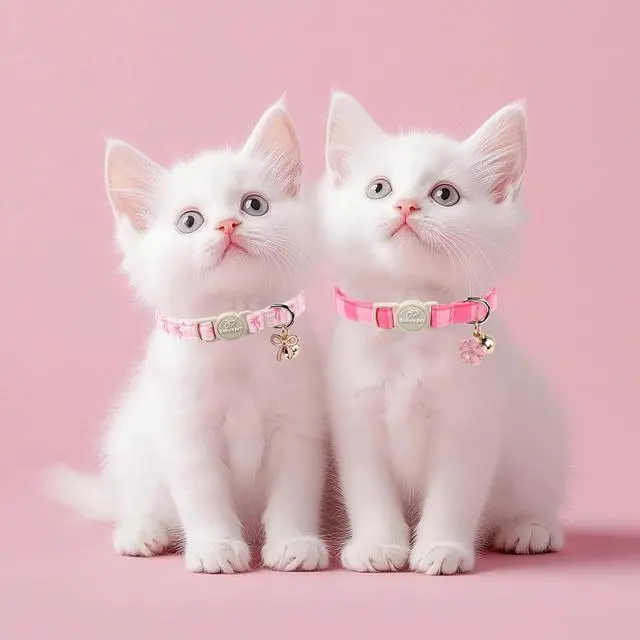 Alt view image 2 of 6 - 2 Pack Pink Cat Collars - Spring Summer Breakaway Cat Collar with Bell, Bow and Flower Pendant, Adjustable Kitten Collars for Girl Cats, Cute Pink Plaid &Bow