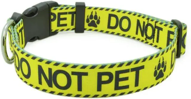 Main image of Dog Collar for DO NOT PET, Sturdy Durable with Buckle, Yellow Dog Collars for Small Medium Large Dogs, Premium Adjustable Polyester Pet Collar