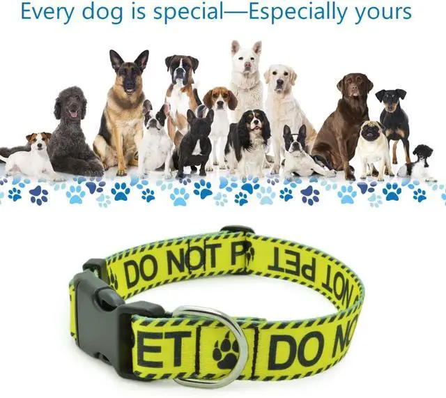 Alt view image 2 of 5 - Dog Collar for DO NOT PET, Sturdy Durable with Buckle, Yellow Dog Collars for Small Medium Large Dogs, Premium Adjustable Polyester Pet Collar