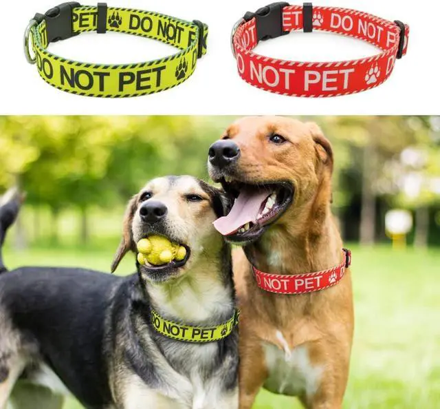 Alt view image 5 of 5 - Dog Collar for DO NOT PET, Sturdy Durable with Buckle, Yellow Dog Collars for Small Medium Large Dogs, Premium Adjustable Polyester Pet Collar