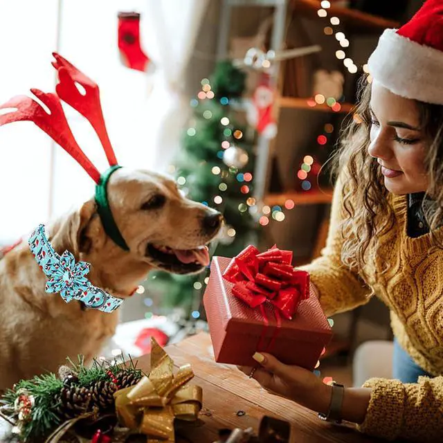 Alt view image 6 of 6 - Dog Collar, Christmas Blue Pet Collar with Flower Holiday Girl Boy Puppy Collar Adjustable for Small Dogs