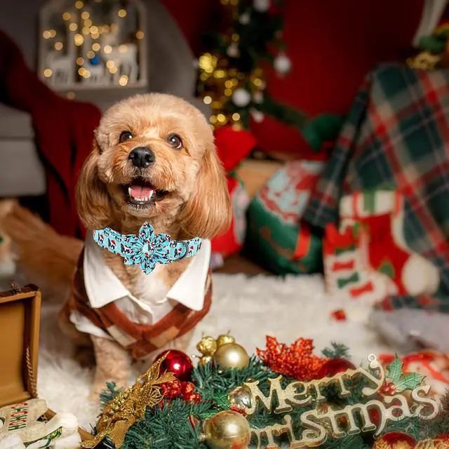 Alt view image 5 of 6 - Dog Collar, Christmas Blue Pet Collar with Flower Holiday Girl Boy Puppy Collar Adjustable for Small Dogs