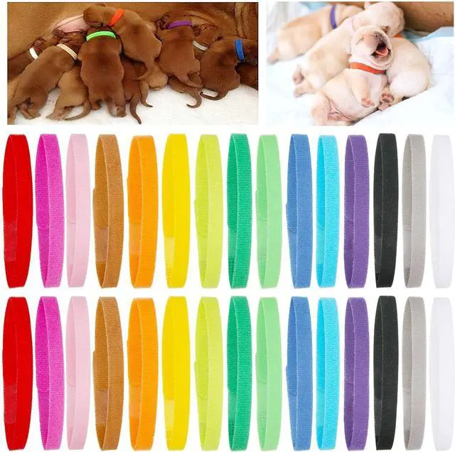 Main image of PETKNOWS 30 Pcs Puppy Kitten Whelping Collars, Soft Newborn Pet ID Bands | Double-Sided Soft Fabric, Newborn Pet Dog Cat, Easy Identification and Tracking, 15 Colors, 30 Pcs, Medium Size