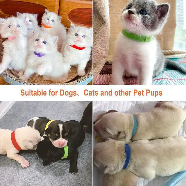 Alt view image 6 of 6 - PETKNOWS 30 Pcs Puppy Kitten Whelping Collars, Soft Newborn Pet ID Bands | Double-Sided Soft Fabric, Newborn Pet Dog Cat, Easy Identification and Tracking, 15 Colors, 30 Pcs, Medium Size