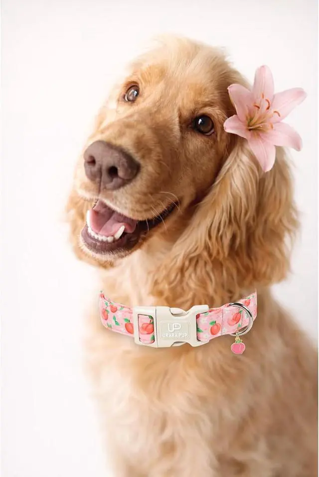 Alt view image 5 of 7 - Peach Dog Collar, Summer Spring Cotton Dog Collar, Cute Fruit Pattern Adjustable Pink Pet Collar, Lightweight Durable Quick Release Buckle with Charm for Female Dogs