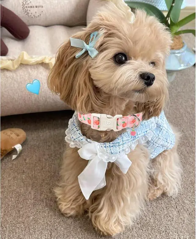 Alt view image 6 of 7 - Peach Dog Collar, Summer Spring Cotton Dog Collar, Cute Fruit Pattern Adjustable Pink Pet Collar, Lightweight Durable Quick Release Buckle with Charm for Female Dogs