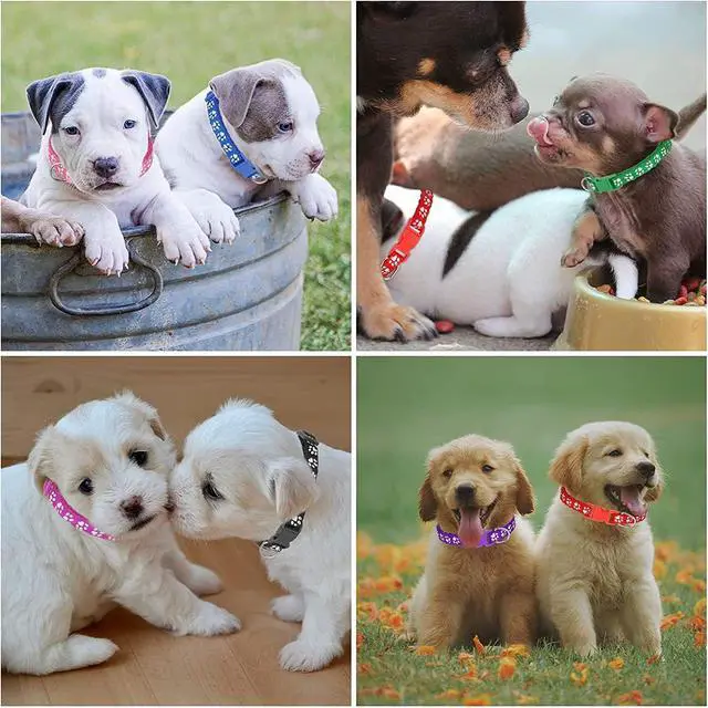 Alt view image 6 of 7 - 12 Pack Puppy Collars for Litter, Adjustable Puppy ID Collars | Soft Nylon Whelping Collars for Newborn Litter Pets