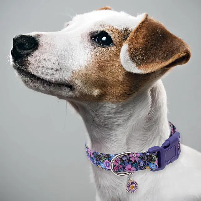 Alt view image 5 of 6 - Faygarsle Cotton Dog Collar Cute Dog Collars for Small Medium Large Dogs Purple Floral Colored Options Soft and Fancy Pet Collars for Girls Flower Pattern for Girl Dog Collar M