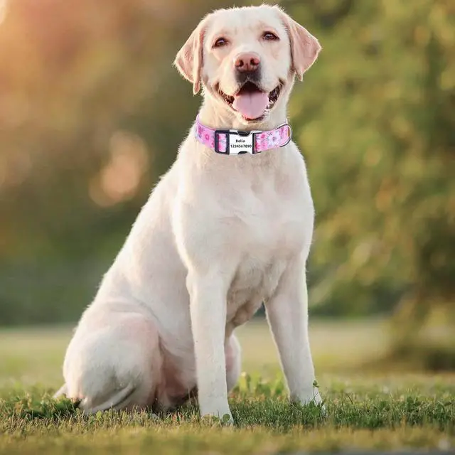 Alt view image 4 of 4 - Dog Collars for Puppy X-Small Small Medium Large Dogs - Unisex Cute Design Boys Girls Dog Pet Collar Soft Adjustable Bohemia Fancy Floral Dog Collars-Pink Daisy-XS