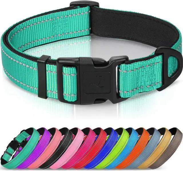 Main image of Joytale Reflective Dog Collar, Adjustable Neoprene Padded, Teal L | Breathable Nylon for Large Dogs, No Chafing on Walks and Outdoor Hikes, Tear-Resistant Webbing, Metal D-Ring, Night Safety