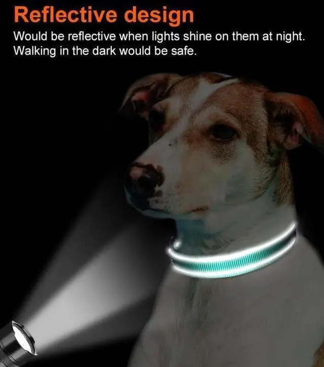 Alt view image 5 of 6 - Joytale Reflective Dog Collar, Adjustable Neoprene Padded, Teal L | Breathable Nylon for Large Dogs, No Chafing on Walks and Outdoor Hikes, Tear-Resistant Webbing, Metal D-Ring, Night Safety