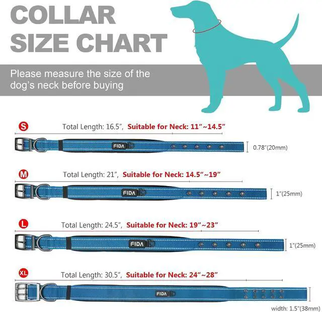 Alt view image 6 of 7 - Fida Padded Dog Collar for Small Dogs with Metal Belt Buckle, Blue | Soft Neoprene Padded for Extra Comfort, Durable Nylon Webbing, Adjustable Fit, Reflective Stitching for Night Safety